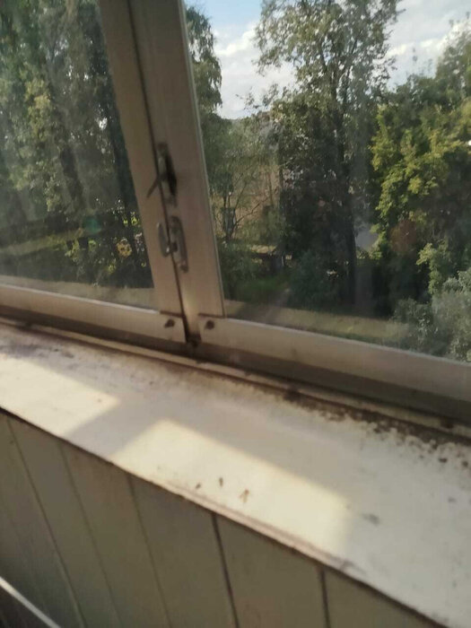 г. Нижний Тагил, ул. Карла Маркса, 89 (городской округ Нижний Тагил) - фото квартиры (6)