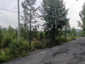 Продажа садового участка: Екатеринбург, СНТ Новый Свет (Палкинский торфяник) - Фото 3
