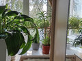 Продажа квартиры: Екатеринбург, ул. Стрелочников, 6 (Вокзальный) - Фото 2