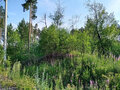 Продажа земельного участка: Екатеринбург, ул. Романтиков,   (Кольцово) - Фото 2