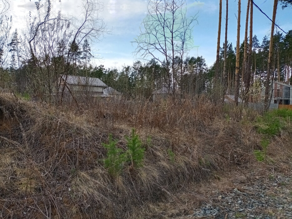 Екатеринбург, ул. Романтиков,   (Кольцово) - фото земельного участка (5)