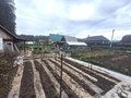 Продажа садового участка: г. Верхняя Пышма, Верънепышминское лесничесва, Уралмашевского лесхоза СТ Простоквашино, уч. 56 (городской округ Верхняя Пышма) - Фото 3