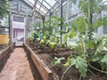 Продажа садового участка: г. Верхняя Пышма, Верънепышминское лесничесва, Уралмашевского лесхоза СТ Простоквашино, уч. 56 (городской округ Верхняя Пышма) - Фото 7