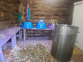 Продажа садового участка: г. Ревда, СНТ Заря-2 (городской округ Ревда) - Фото 5