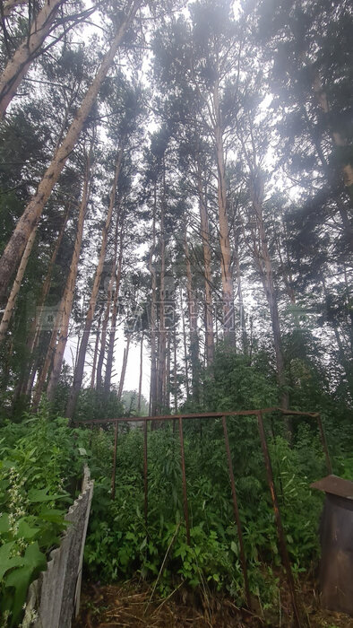 г. Ревда, СНТ Заря-2 (городской округ Ревда) - фото сада (6)