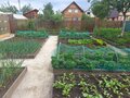 Продажа садового участка: п. Большой Исток, к/с Меркурий (городской округ Сысертский) - Фото 1