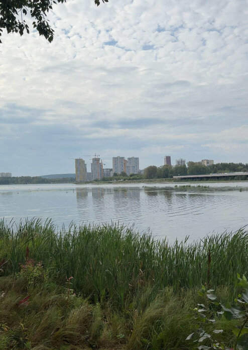 Екатеринбург, ул. Рощинская, 37 (Уктус) - фото квартиры (1)