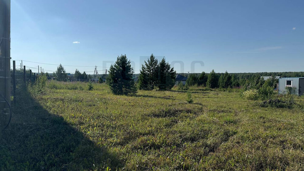 п. Становая, ул. Полевой , 223 (городской округ Березовский) - фото земельного участка (2)