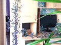 Продажа квартиры: Екатеринбург, ул. Машиностроителей, 6 (Уралмаш) - Фото 3