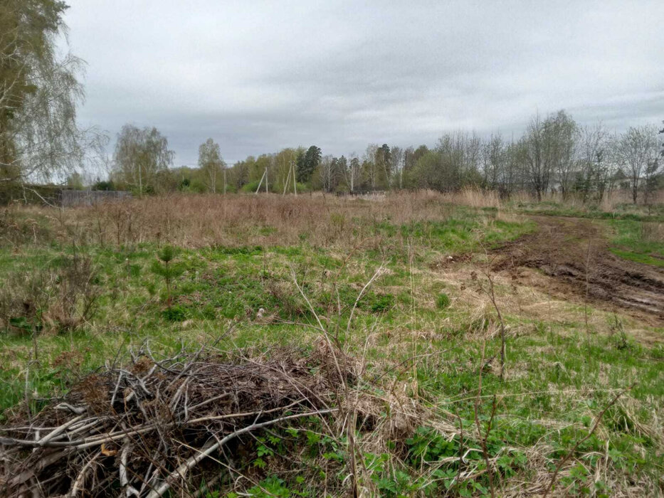 Екатеринбург, ул. Специалистов, 3.36 (Исток) - фото земельного участка (10)