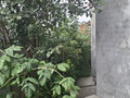 Продажа садового участка: г. Верхняя Пышма, СНТ № 39 (городской округ Верхняя Пышма) - Фото 4