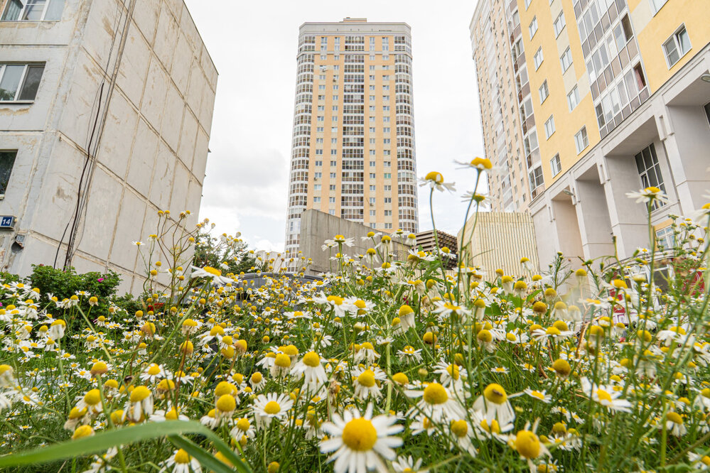 Екатеринбург, ул. Братская, 27 корпус 3 (Вторчермет) - фото квартиры (1)
