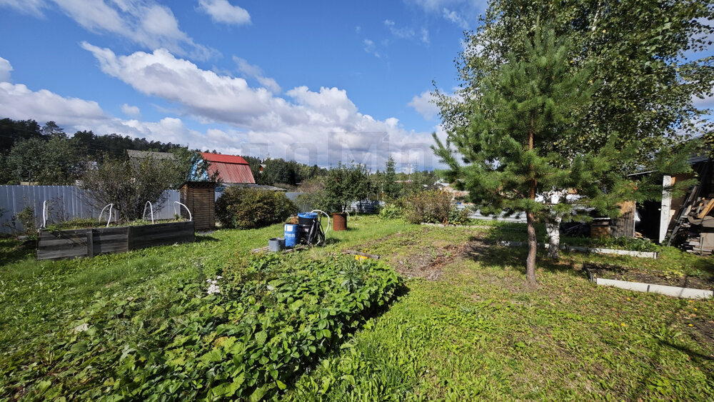 Екатеринбург, СНТ 