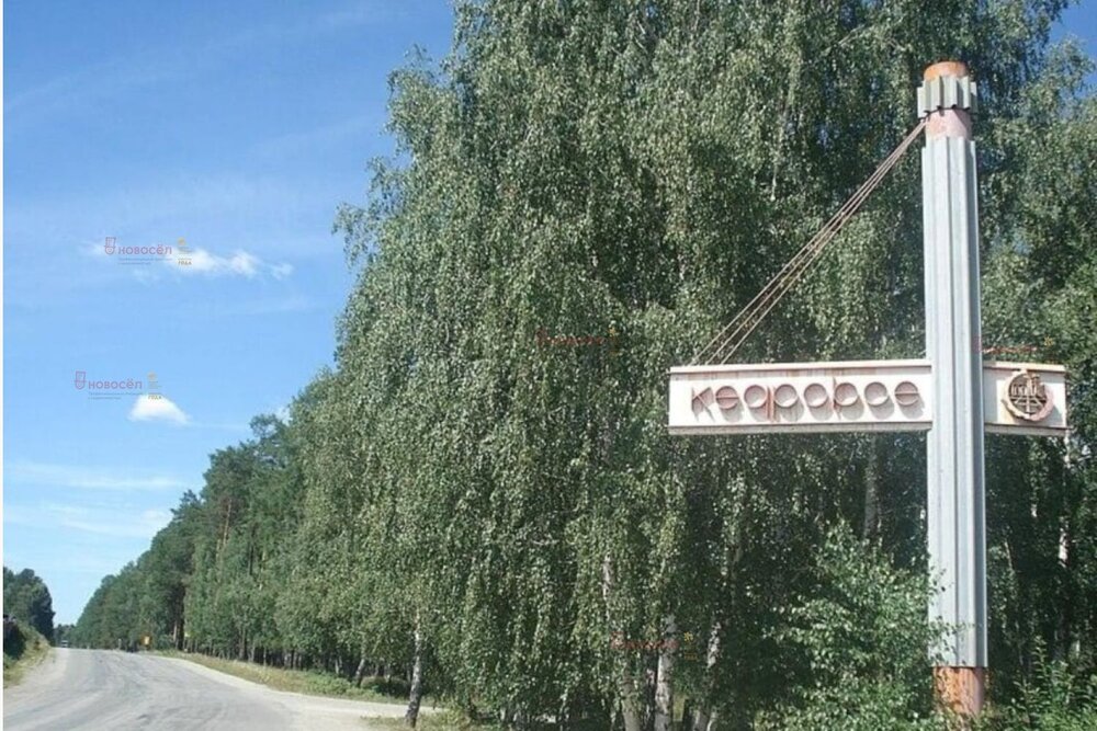 п. Кедровое, ул. Западная, 36В (городской округ Верхняя Пышма) - фото дома (2)