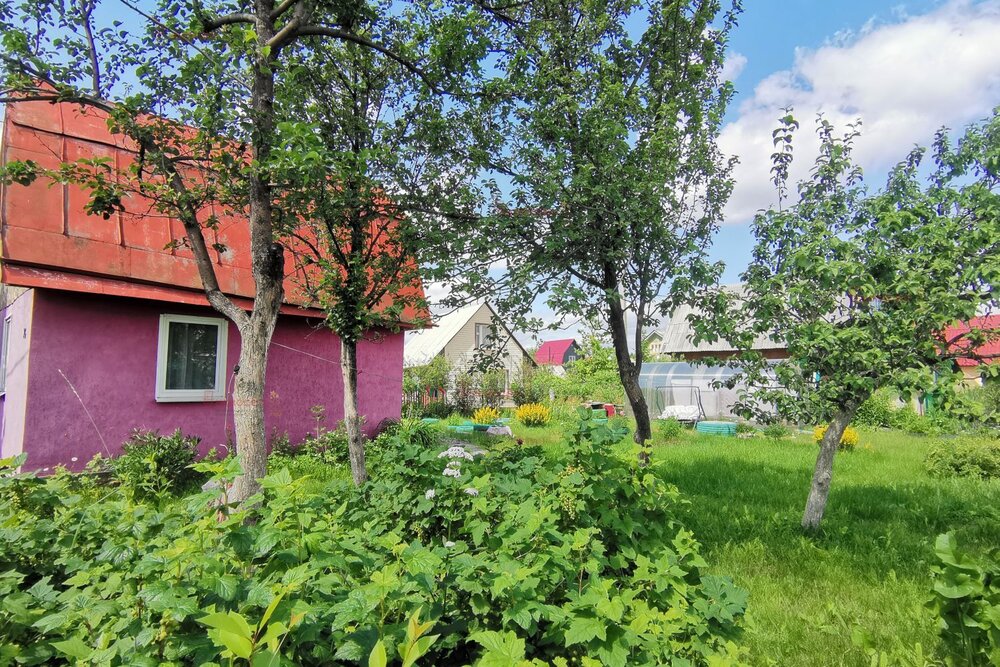 Екатеринбург, СТ Родничок, уч. 23 - фото сада (4)