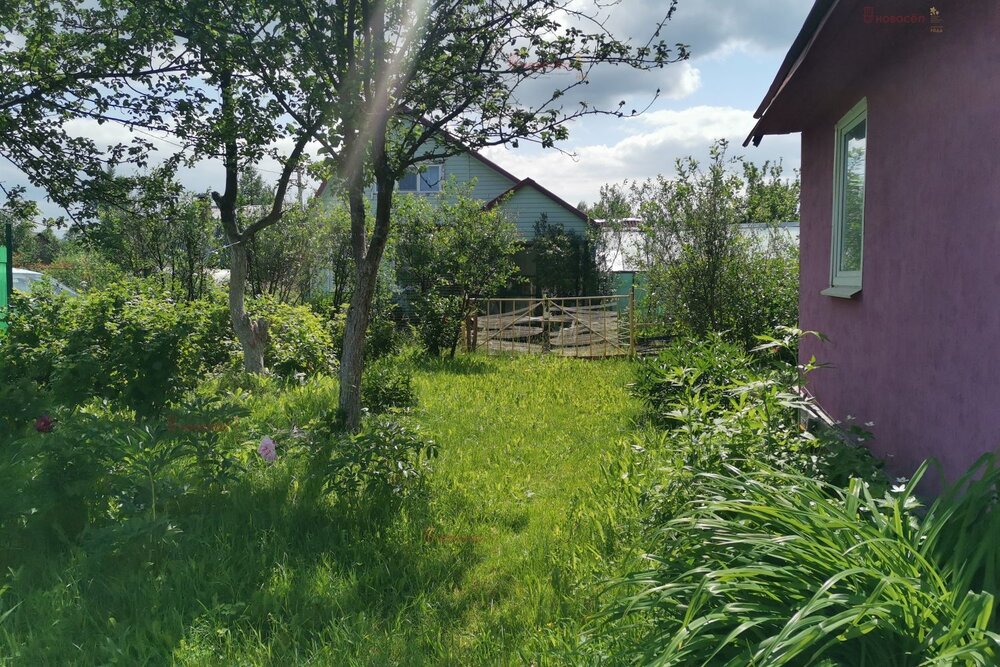 Екатеринбург, СТ Родничок, уч. 23 - фото сада (5)