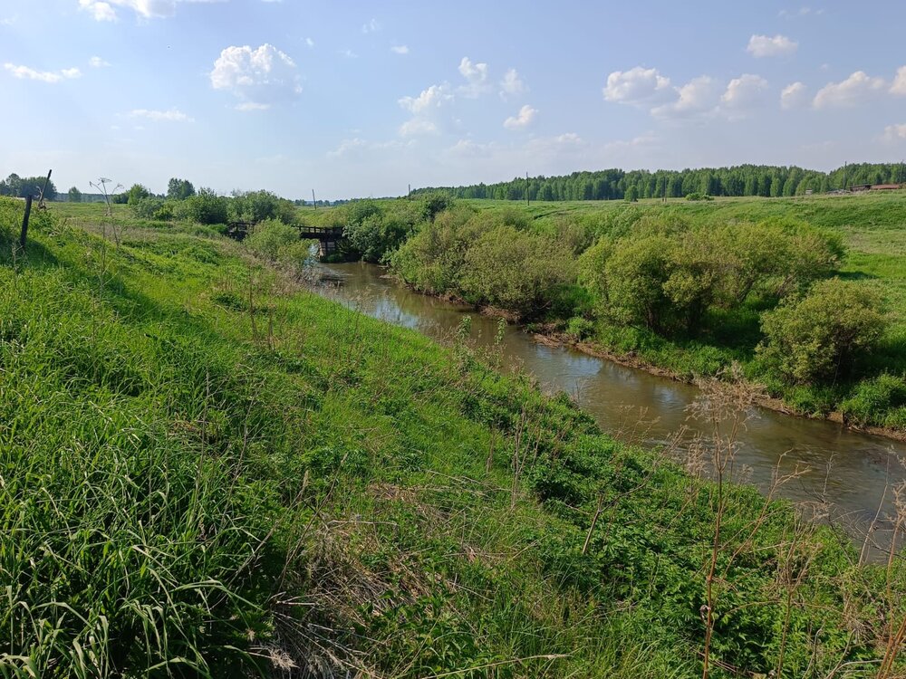 д. Черданцы, ул. Полевая, 9 (городской округ Богданович) - фото дома (7)