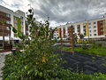 Продажа квартиры: Екатеринбург, ул. Майская, 70 (Широкая речка) - Фото 1