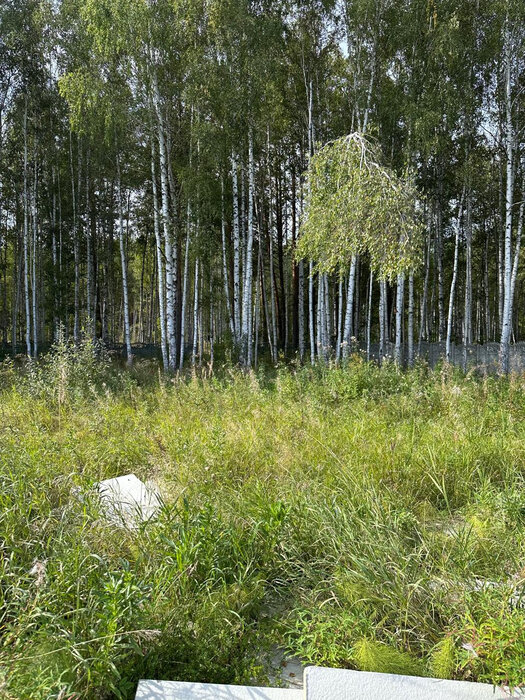 с. Курганово, ул. Лавандовая (городской округ Полевской) - фото земельного участка (4)