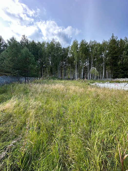 с. Курганово, ул. Лавандовая (городской округ Полевской) - фото земельного участка (5)
