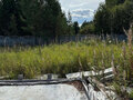 Продажа земельного участка: с. Курганово, ул. Лавандовая (городской округ Полевской) - Фото 7