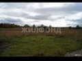 Продажа земельного участка: г. Нижний Тагил, ул. Проселочная (городской округ Нижний Тагил) - Фото 3