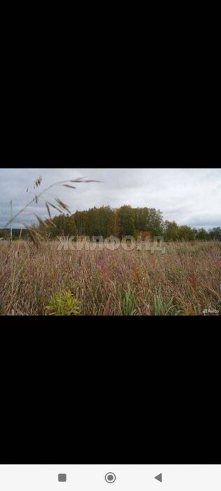 г. Нижний Тагил, ул. Проселочная (городской округ Нижний Тагил) - фото земельного участка (5)