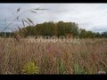 Продажа земельного участка: г. Нижний Тагил, ул. Проселочная (городской округ Нижний Тагил) - Фото 5