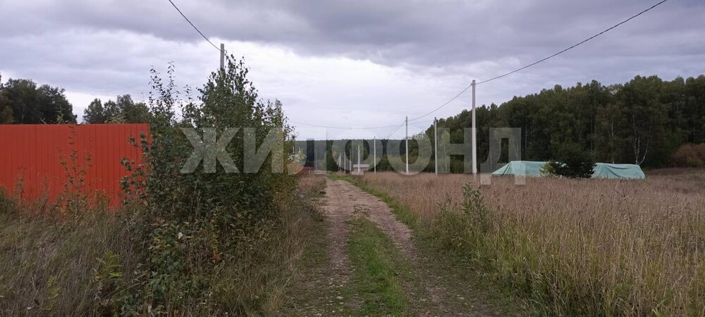 г. Нижний Тагил, ул. Проселочная (городской округ Нижний Тагил) - фото земельного участка (7)