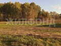 Продажа земельного участка: г. Нижний Тагил, ул. Проселочная (городской округ Нижний Тагил) - Фото 7