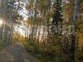 Продажа земельного участка: г. Нижний Тагил, ул. Проселочная (городской округ Нижний Тагил) - Фото 8
