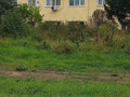 Продажа квартиры: г. Арамиль, ул. Станционная, 6 (городской округ Арамильский) - Фото 1
