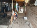 Продажа дома: г. Березовский, ул. Лесная, 2 (городской округ Березовский) - Фото 5
