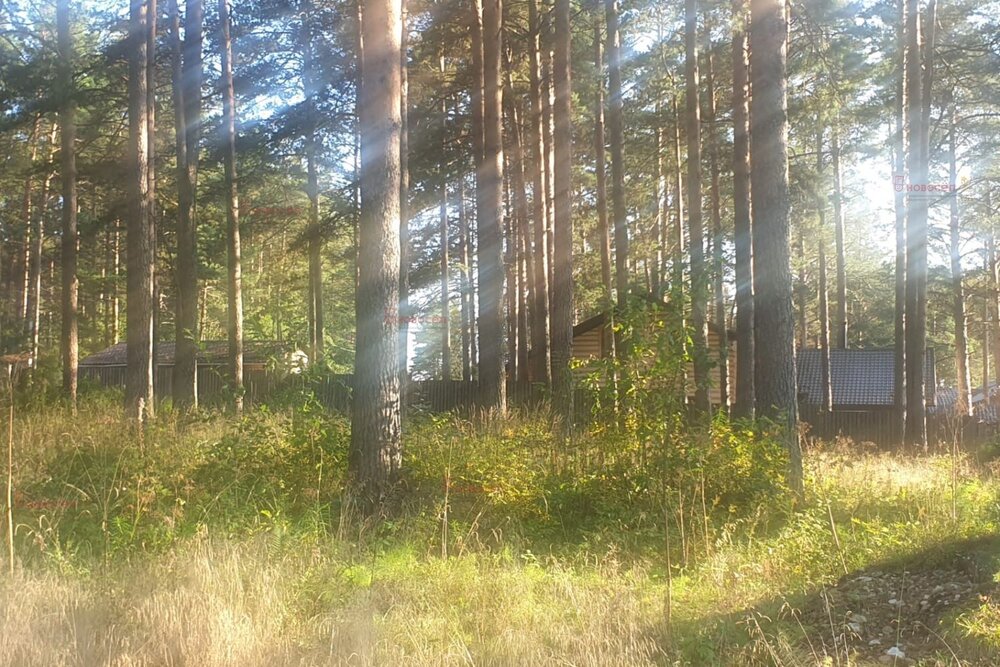 с. Кунгурка, ул. Алмазная, 12 (городской округ Ревда) - фото земельного участка (3)