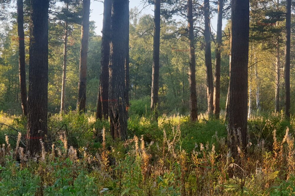 с. Кунгурка, ул. Алмазная, 12 (городской округ Ревда) - фото земельного участка (4)