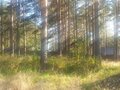 Продажа земельного участка: с. Кунгурка, ул. Алмазная, 12 (городской округ Ревда) - Фото 4