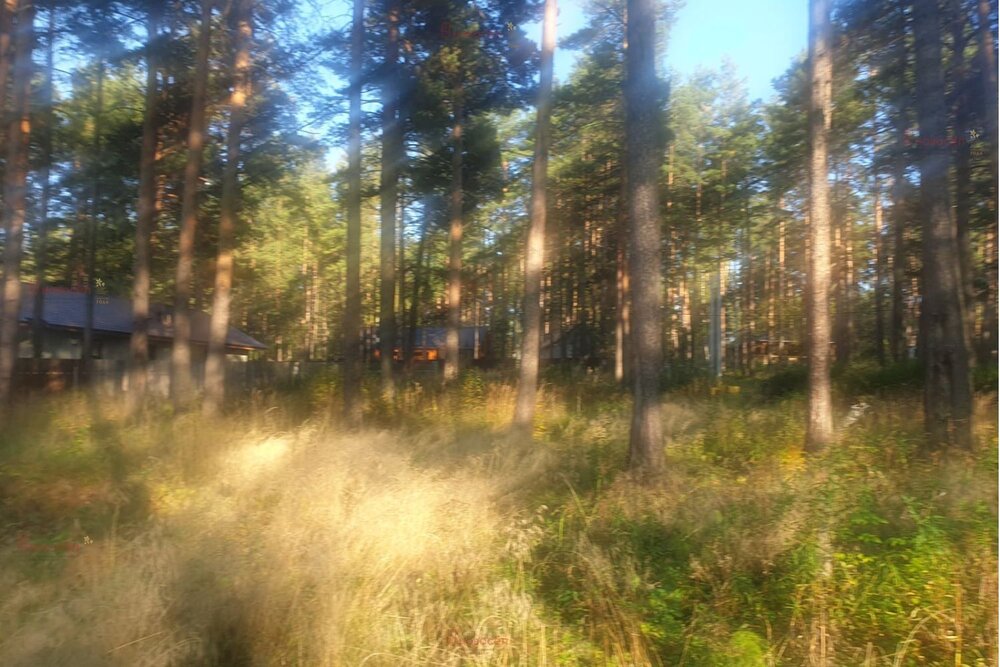 с. Кунгурка, ул. Алмазная, 12 (городской округ Ревда) - фото земельного участка (5)