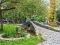 Аренда квартиры: Екатеринбург, ул. Рассветная, 13 (ЖБИ) - Фото 3