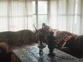Продажа дома: п. Гусевка, ул. Малиновая, 6 (городской округ Ревда) - Фото 4