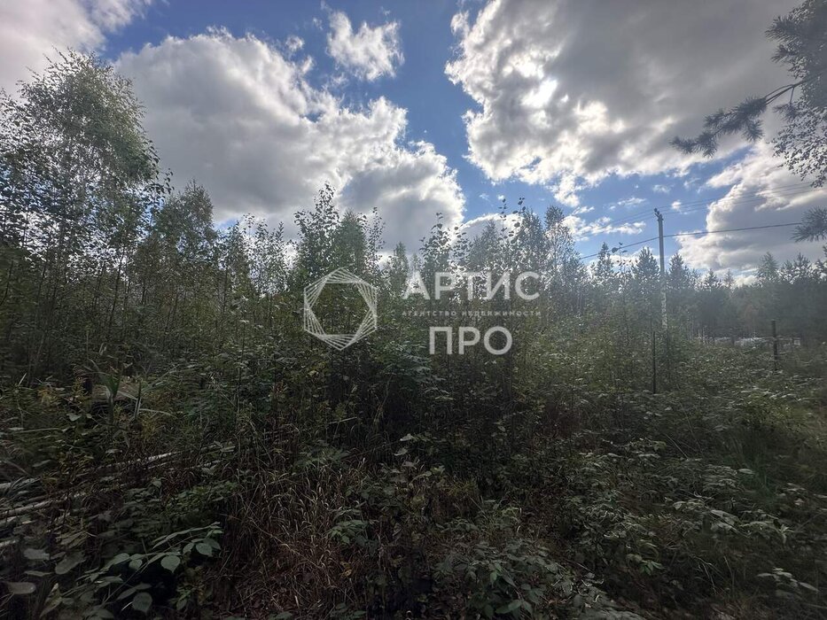 п. Красный Адуй, к/с Адуйское, ул. Берёзовая, 11 (городской округ Верхняя Пышма) - фото сада (4)
