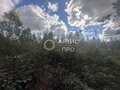 Продажа садового участка: п. Красный Адуй, к/с Адуйское, ул. Берёзовая, 11 (городской округ Верхняя Пышма) - Фото 4