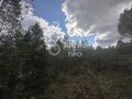 Продажа садового участка: п. Красный Адуй, к/с Адуйское, ул. Берёзовая, 11 (городской округ Верхняя Пышма) - Фото 5