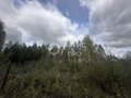 Продажа садового участка: п. Красный Адуй, к/с Адуйское, ул. Берёзовая, 11 (городской округ Верхняя Пышма) - Фото 7