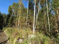 Продажа земельного участка: п. Кедровое, ул. Заповедная, 11 (городской округ Верхняя Пышма) - Фото 5