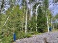 Продажа земельного участка: п. Кедровое, ул. Заповедная, 11 (городской округ Верхняя Пышма) - Фото 6