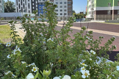 Екатеринбург, ул. Библиотечная, 25 (Втузгородок) - фото квартиры