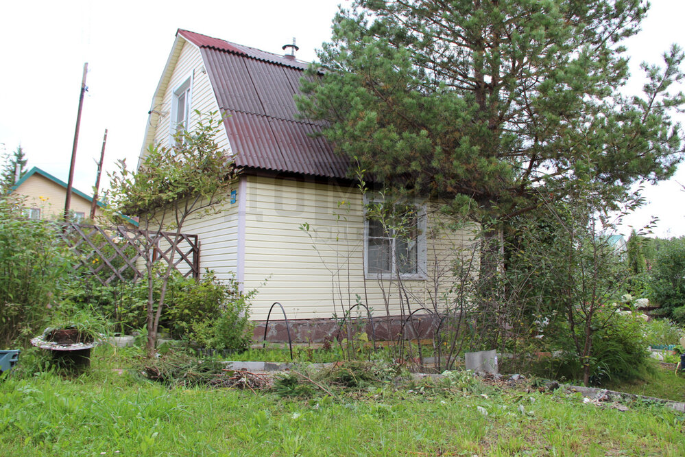 п. Санаторный, СНТ Искра-52 (городской округ Верхняя Пышма) - фото сада (3)