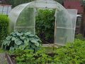 Продажа садового участка: г. Первоуральск, коллективный сад № 66 (городской округ Первоуральск) - Фото 6