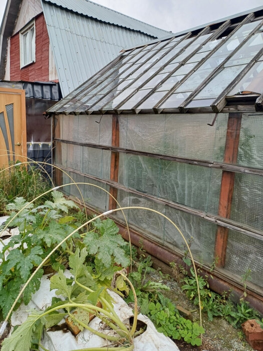 г. Первоуральск, СНТ Коллективный сад №22, уч. 57 (городской округ Первоуральск) - фото сада (3)