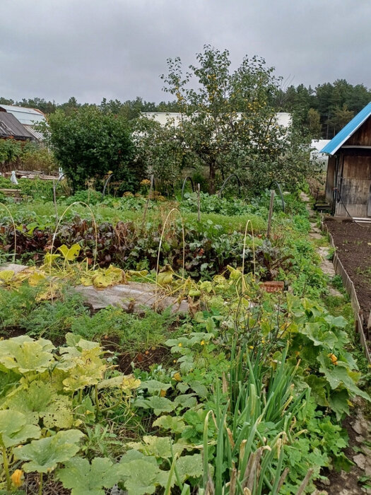 г. Первоуральск, СНТ Коллективный сад №22, уч. 57 (городской округ Первоуральск) - фото сада (7)